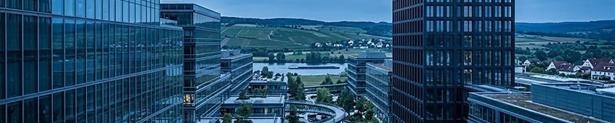 Panorama_Mayborn